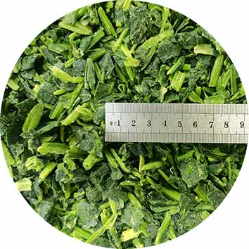 Frozen Spinach