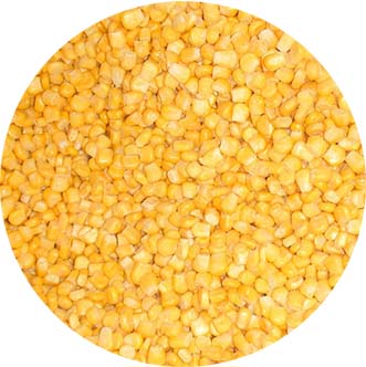 Frozen Sweet Corn
