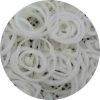 Frozen Onion