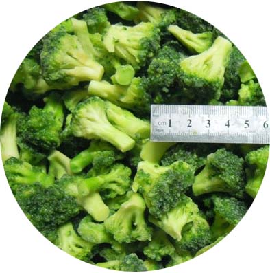 Frozen Broccoli