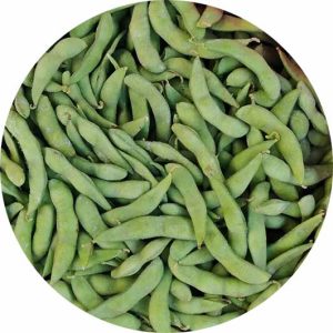Frozen Edamame
