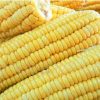 Frozen Sweet Corn