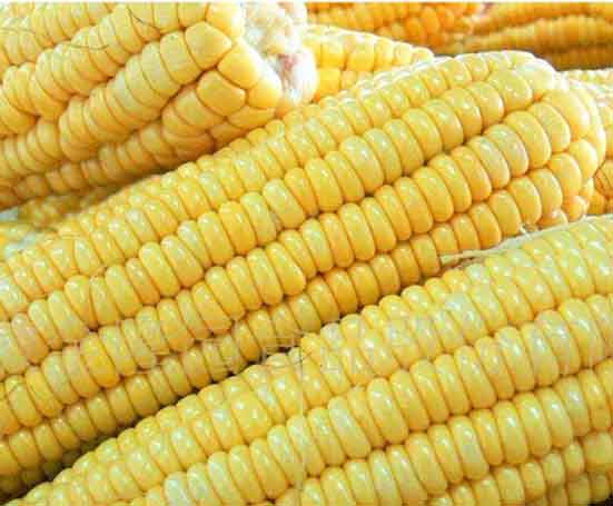 Frozen Sweet Corn