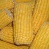 Frozen Sweet Corn