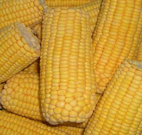 Frozen Sweet Corn